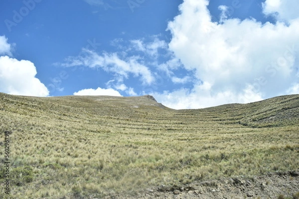 Obraz landscape with sky