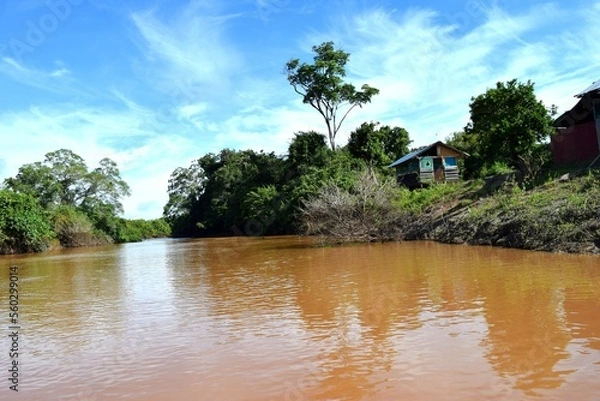 Obraz tropical river
