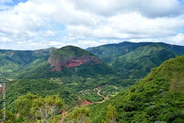 Obraz green landscape