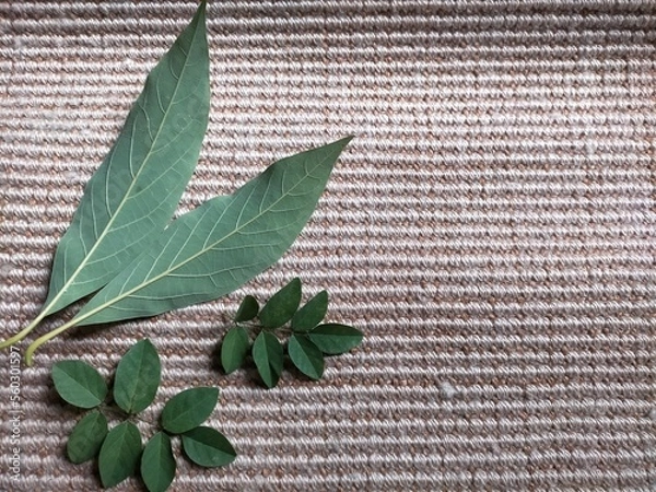 Obraz Bay leaves on karpet table