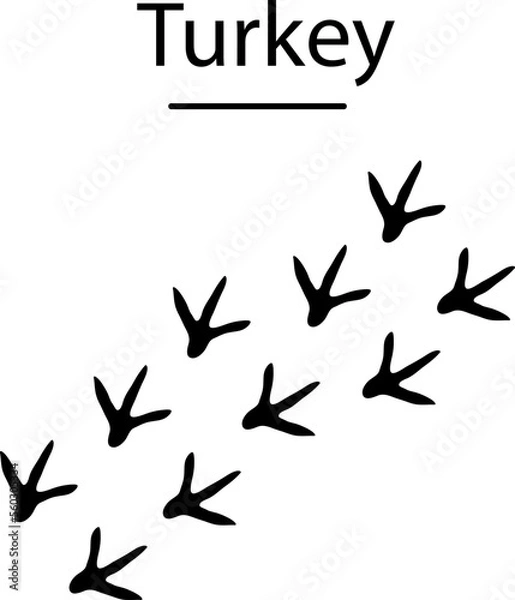 Fototapeta Turkey Silhouette with trails. Vector Illustration on white background