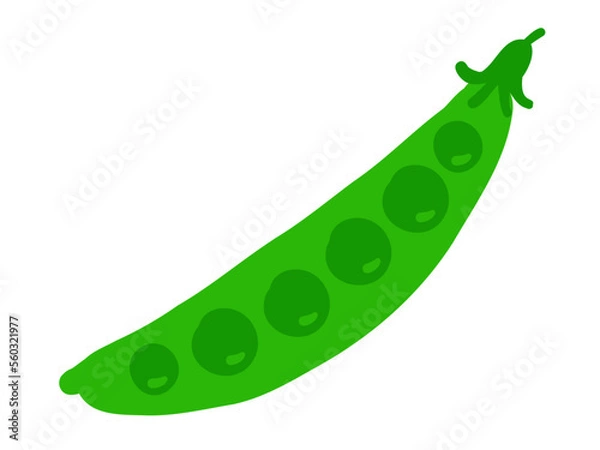 Fototapeta かわいいエンドウ／手描きイラスト素材