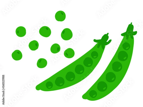 Fototapeta かわいいエンドウの豆セット／手描きイラスト素材
