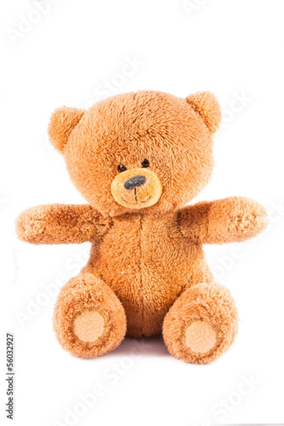 Obraz Teddy-bear isolated on a white background
