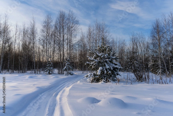 Fototapeta Winter forest landscape with deep snow, snowdrifts and a road going around a bend. Russia, Ural.