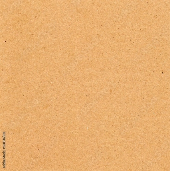 Obraz Cork board texture, Carton Empty Board