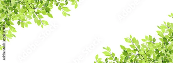 Fototapeta 新緑のフレーム・背景素材（バナー向け横長）