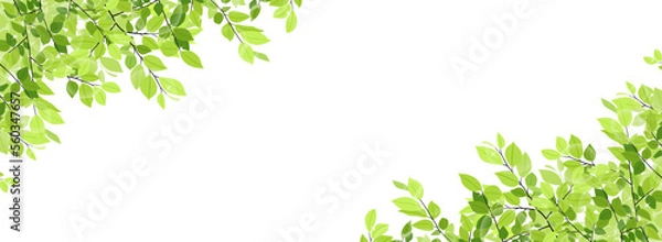 Obraz 新緑のフレーム・背景素材（バナー向け横長）