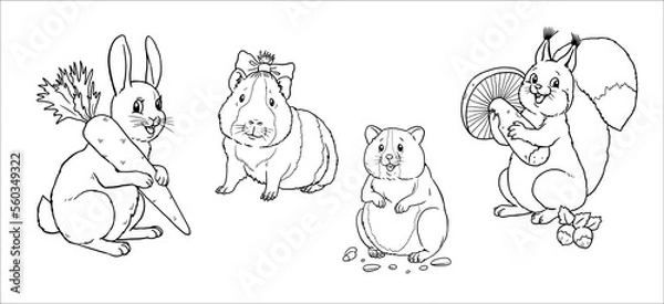 Fototapeta Cute rabbit, squirrel, hamster and guinea pig to color in. Vector template for a coloring book with funny animals. Coloring template for kids.