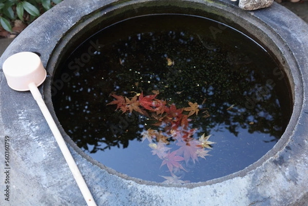 Obraz 東京の紅葉