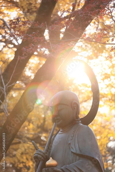 Obraz 東京の紅葉