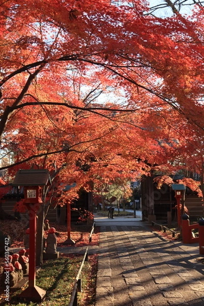 Obraz 東京の紅葉