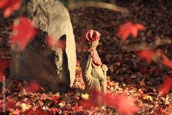 Obraz 東京の紅葉