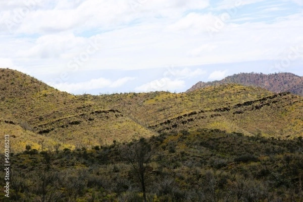 Obraz landscape in the mountains