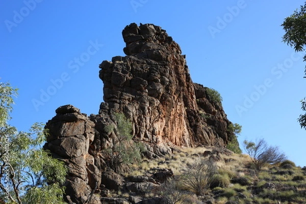 Obraz tree in the mountains