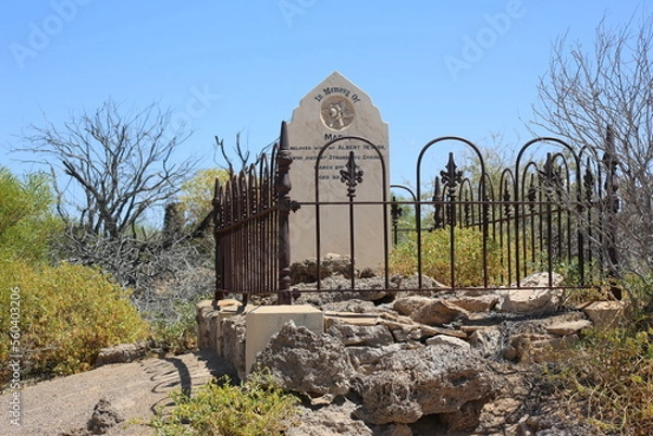 Obraz graveyard in the mountains