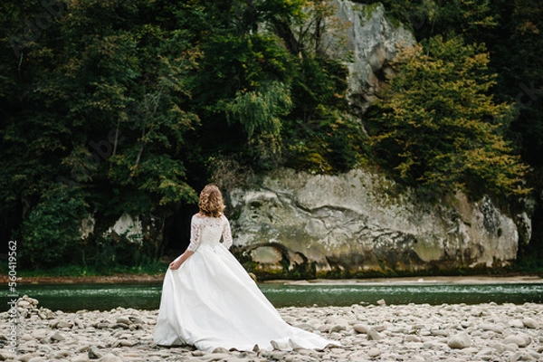 Fototapeta Romantic bride standing on the stony shore river in the mountains. The bride walking on nature. Back view. Country.