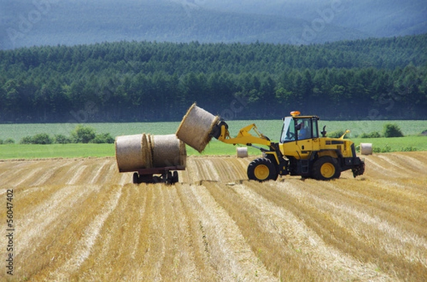 Fototapeta 牧草ロールの運搬