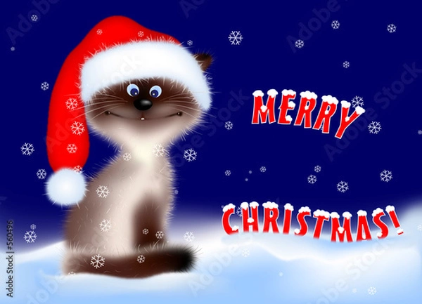 Obraz christmas - cat