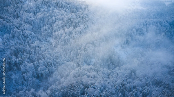 Obraz snow covered mountains forest