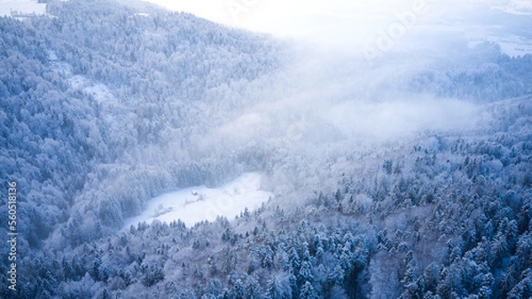 Obraz snow covered mountains forest