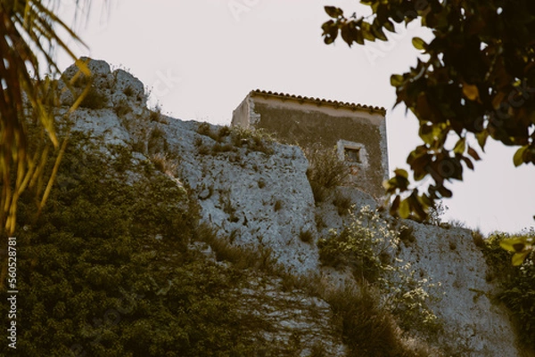 Obraz castle in the mountains