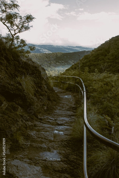 Obraz hawaiian mountain trail through the mountains