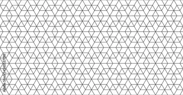Fototapeta Geometric seamless pattern with thin line six pointed stars vector illustration