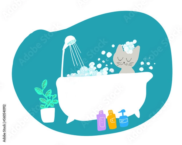 Obraz 入浴中の猫