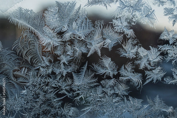 Obraz Frost patterns
