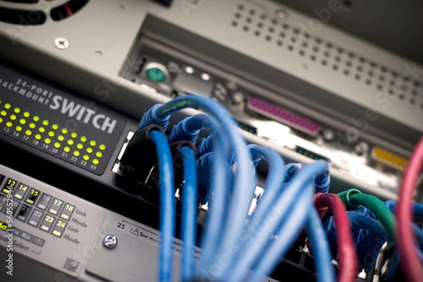 Obraz Network switch hub patch cables connectivity internet cat5 internet online data center