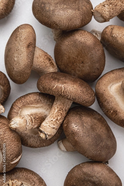 Fototapeta 표고버섯