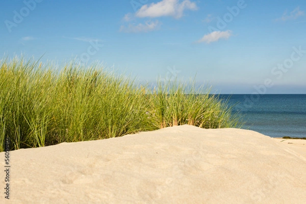 Obraz Urlaub am Meer