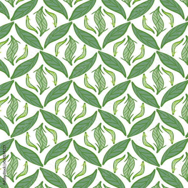 Fototapeta beautiful abstract green leaf pattern background, fabric ethnic illustration decoration fashion style