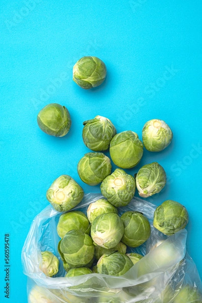 Obraz 방울양배추