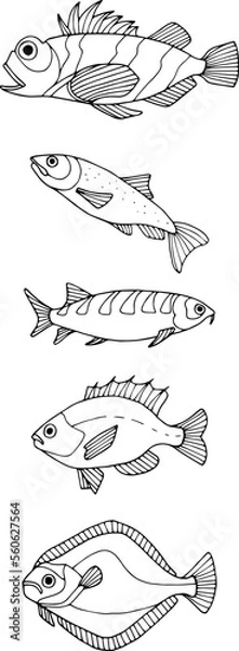 Fototapeta Underwater world of fishes doodle icons set. Collection of fish sketches. Hand drawn vector illustration. traced image.
