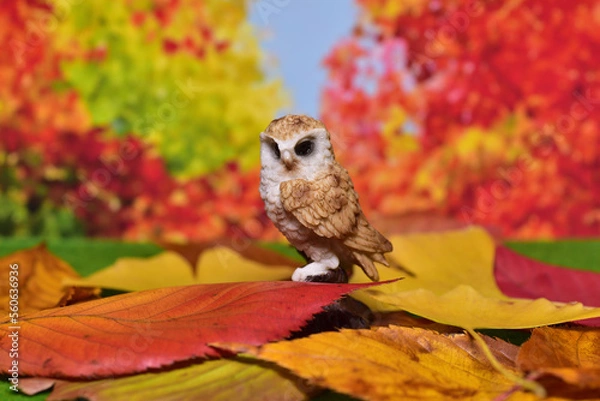 Obraz 秋の風景・ふくろう