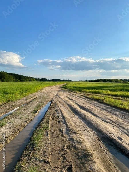 Fototapeta railway in the field