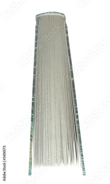 Obraz Isolated single book standing on edge