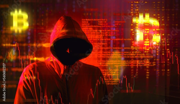 Fototapeta hooded hacker 