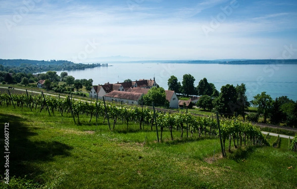 Obraz Lake Constance