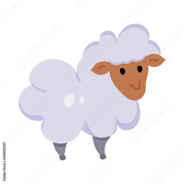 Obraz Sheep 