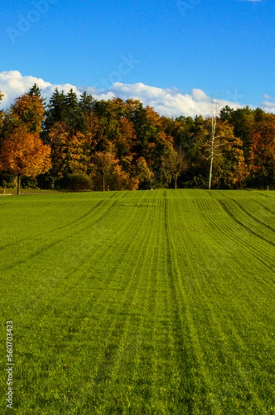 Obraz Autumn nature colors in Zurich