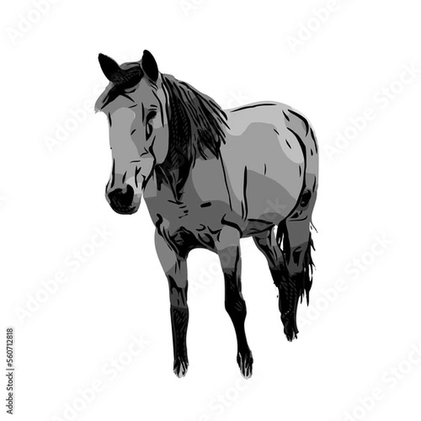 Obraz black and white sketch of a horse with a transparent background