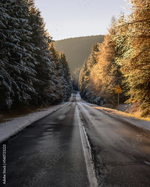 Fototapeta Winter road