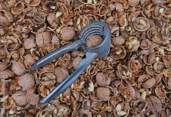 Fototapeta Walnut. Cracked walnuts. Walnut cracking tool.