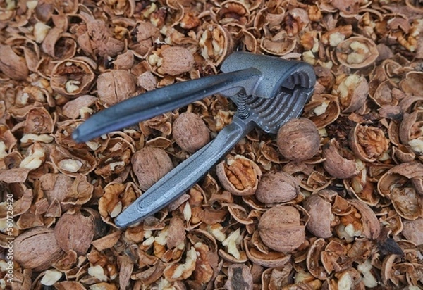 Fototapeta Walnut. Cracked walnuts. Walnut cracking tool.