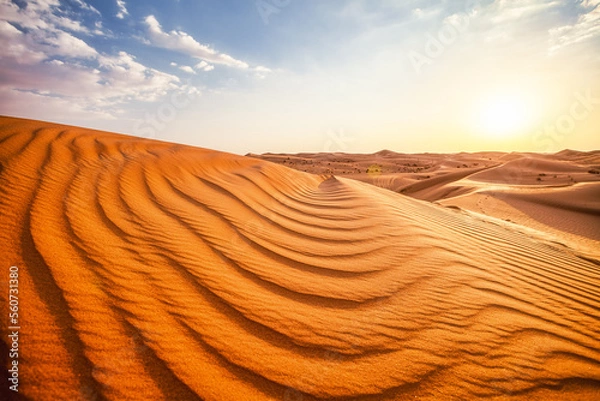 Obraz Désert au crépuscule.