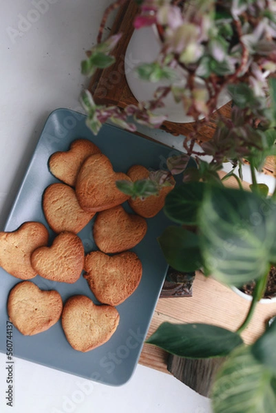 Fototapeta cookies hearts and indoor flowers on the background of the window