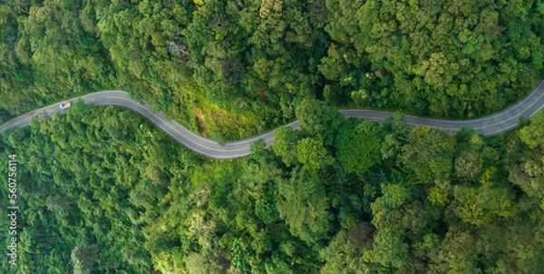 Fototapeta Road in the middle of the forest , road curve construction up to mountain, Rainforest ecosystem and healthy environment concept	
